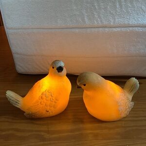 Candle Impressions Set of 2 Carolina Wrens Illuminated Wax Birds